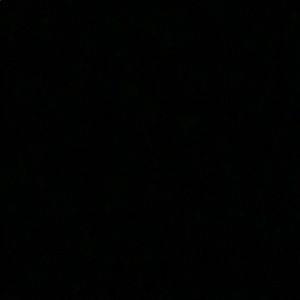 Meet your Posher, Preston